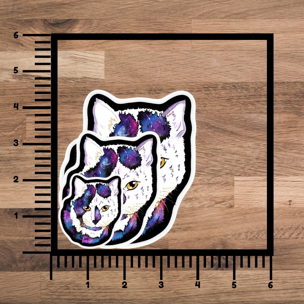 Meow-t Of This World