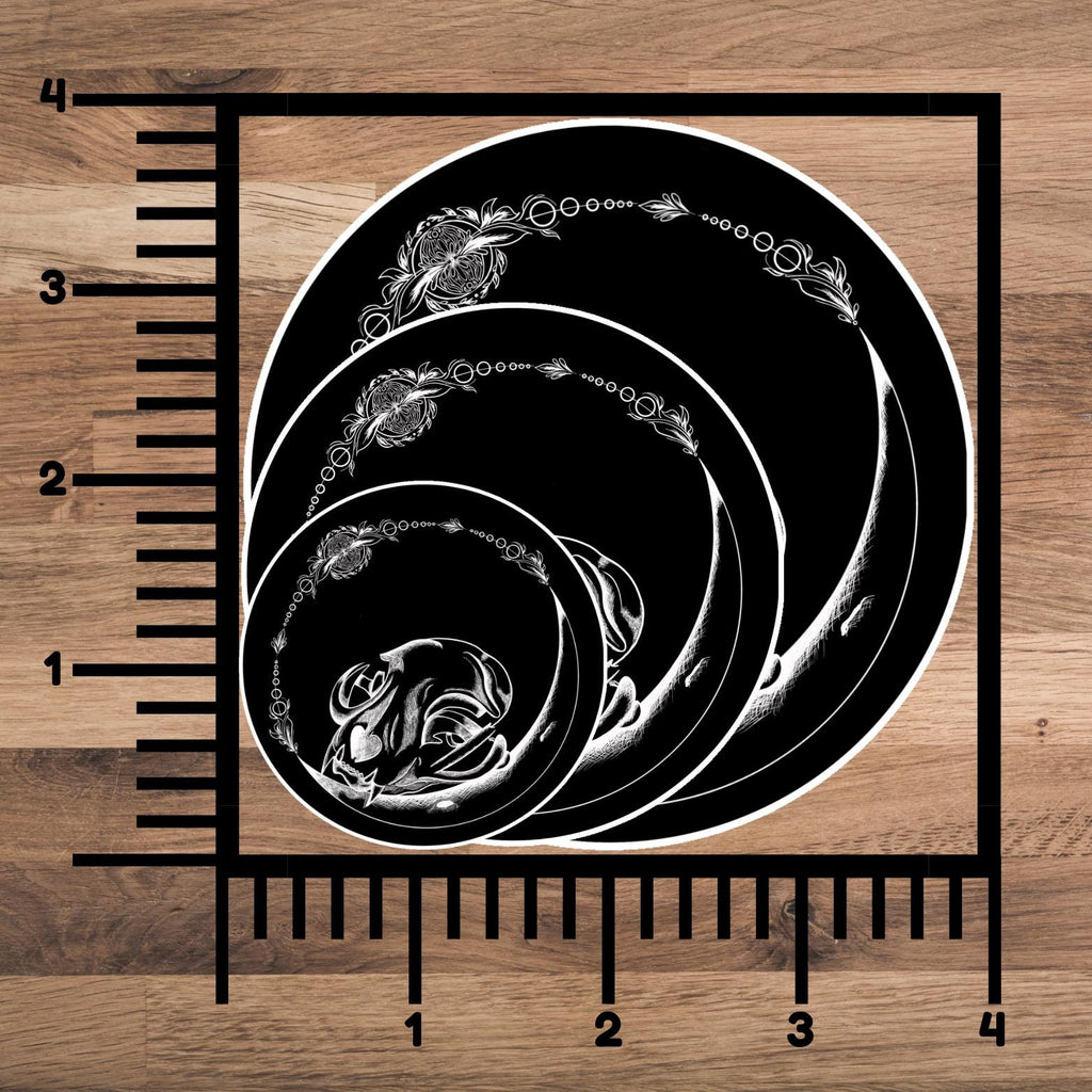 Dark Side Of The Moon