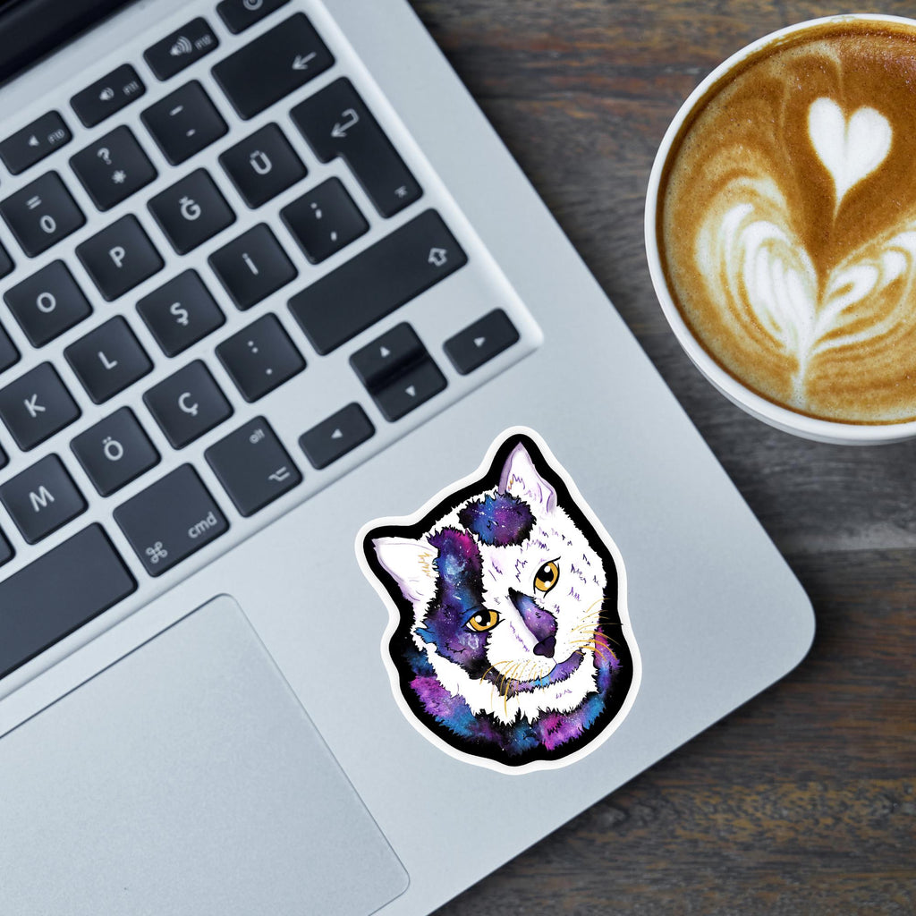 Meow-t Of This World