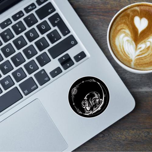 Dark Side Of The Moon