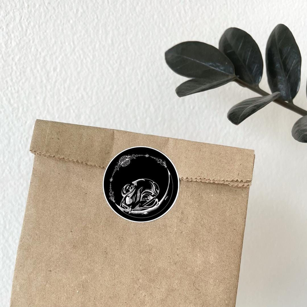 Dark Side Of The Moon