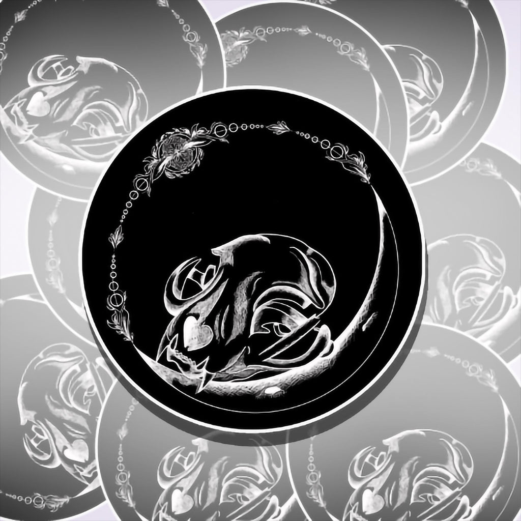 Dark Side Of The Moon