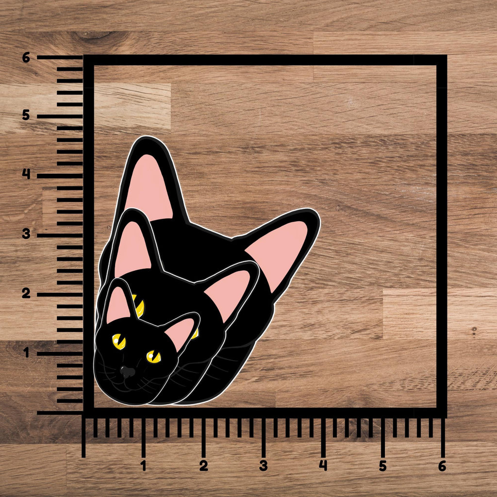 Salem