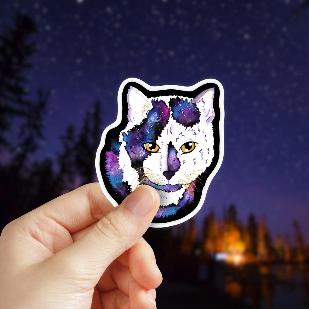 Meow-t Of This World